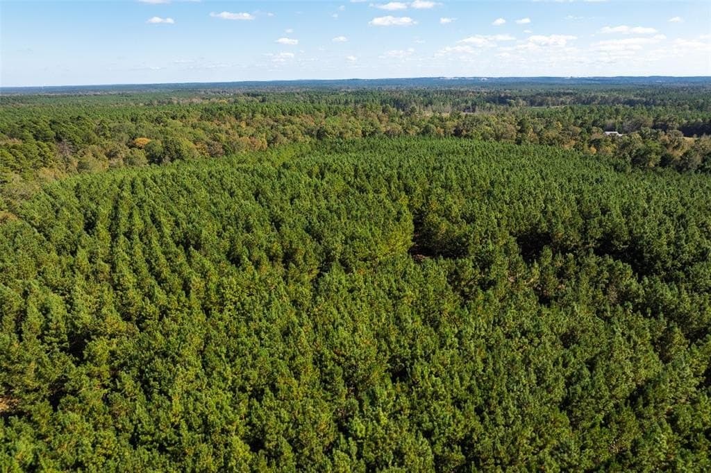 122.69 acres in Nacogdoches County - photo 33