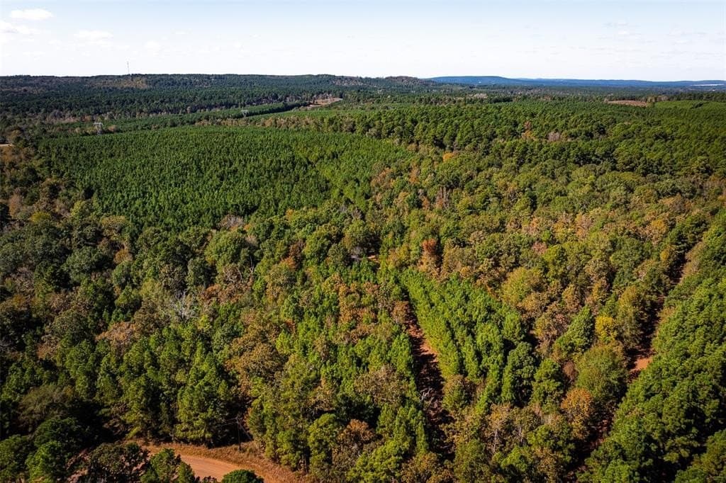 122.69 acres in Nacogdoches County - photo 29