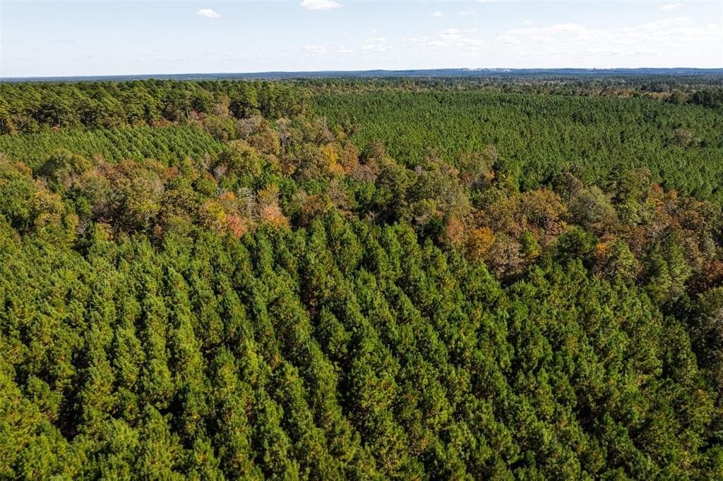 122.69 acres in Nacogdoches County - photo 27