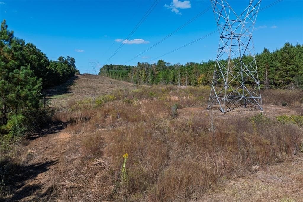 122.69 acres in Nacogdoches County - photo 25