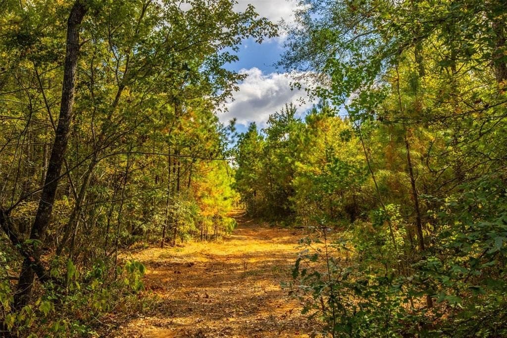 122.69 acres in Nacogdoches County - photo 13