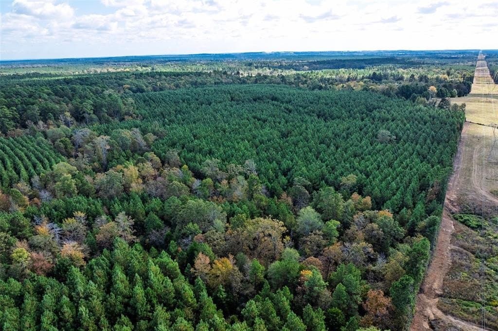 122.69 acres in Nacogdoches County - photo 24
