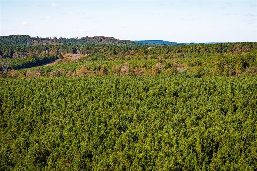 122.69 acres in Nacogdoches County - photo 31