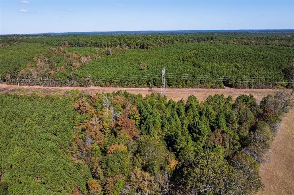 122.69 acres in Nacogdoches County - photo 34