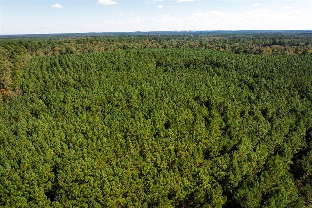122.69 acres in Nacogdoches County - photo 28