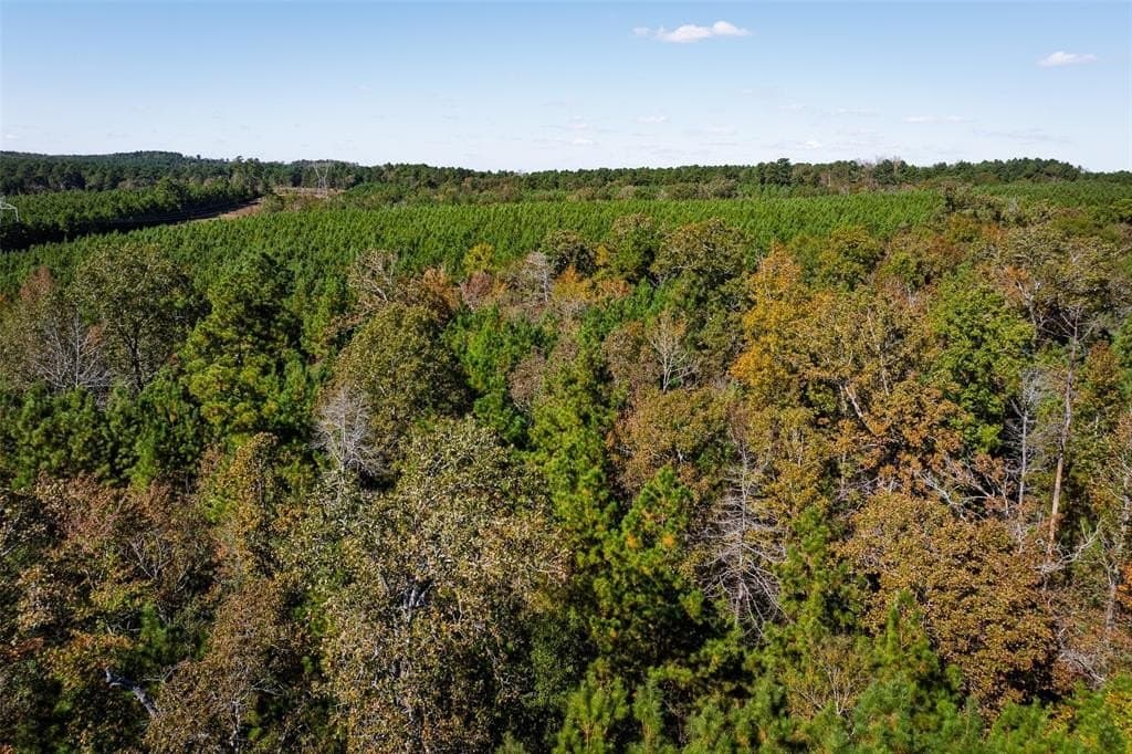 122.69 acres in Nacogdoches County - photo 2