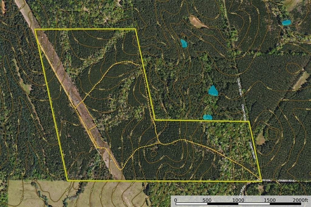 122.69 acres in Nacogdoches County - photo 38