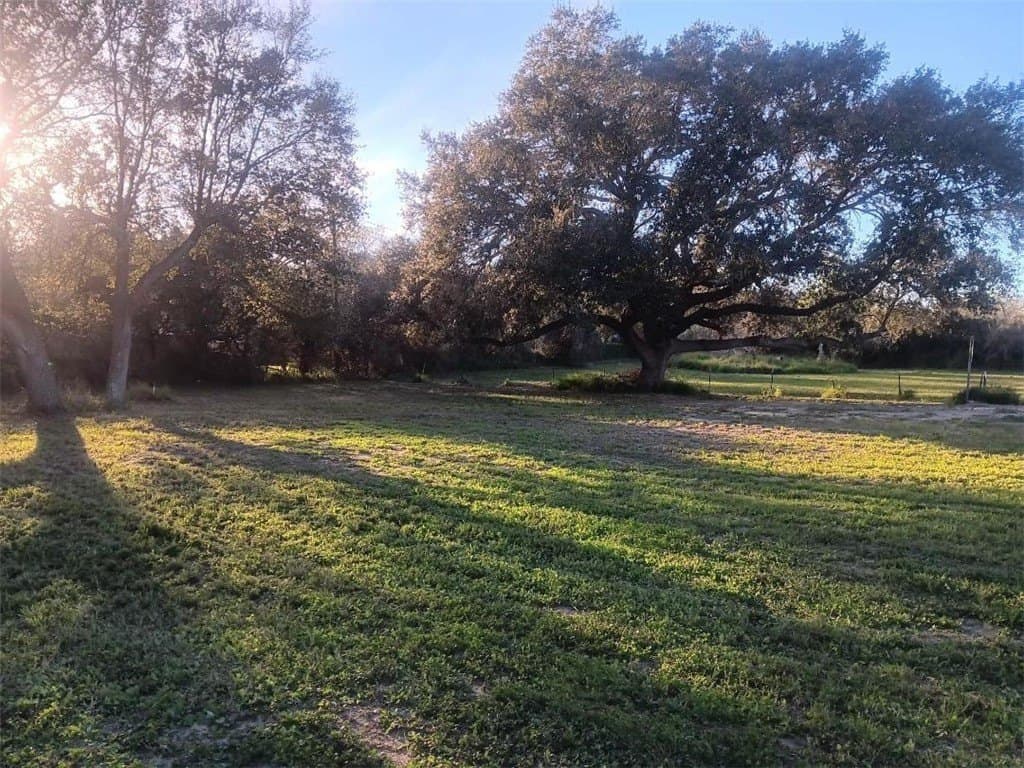 0.25 acres in Nueces County - photo 2