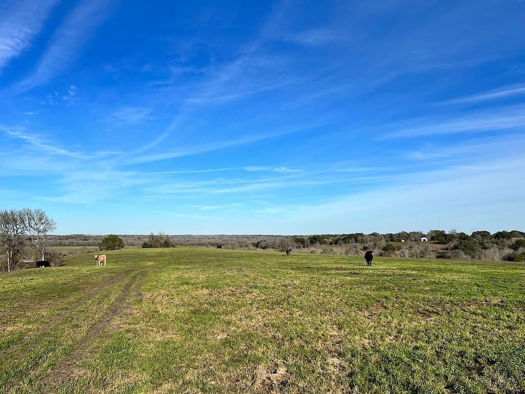 30.39 acres in Washington County - photo 9