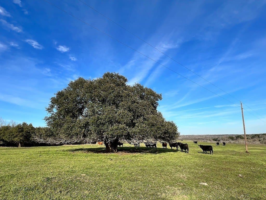 30.39 acres in Washington County - photo 4