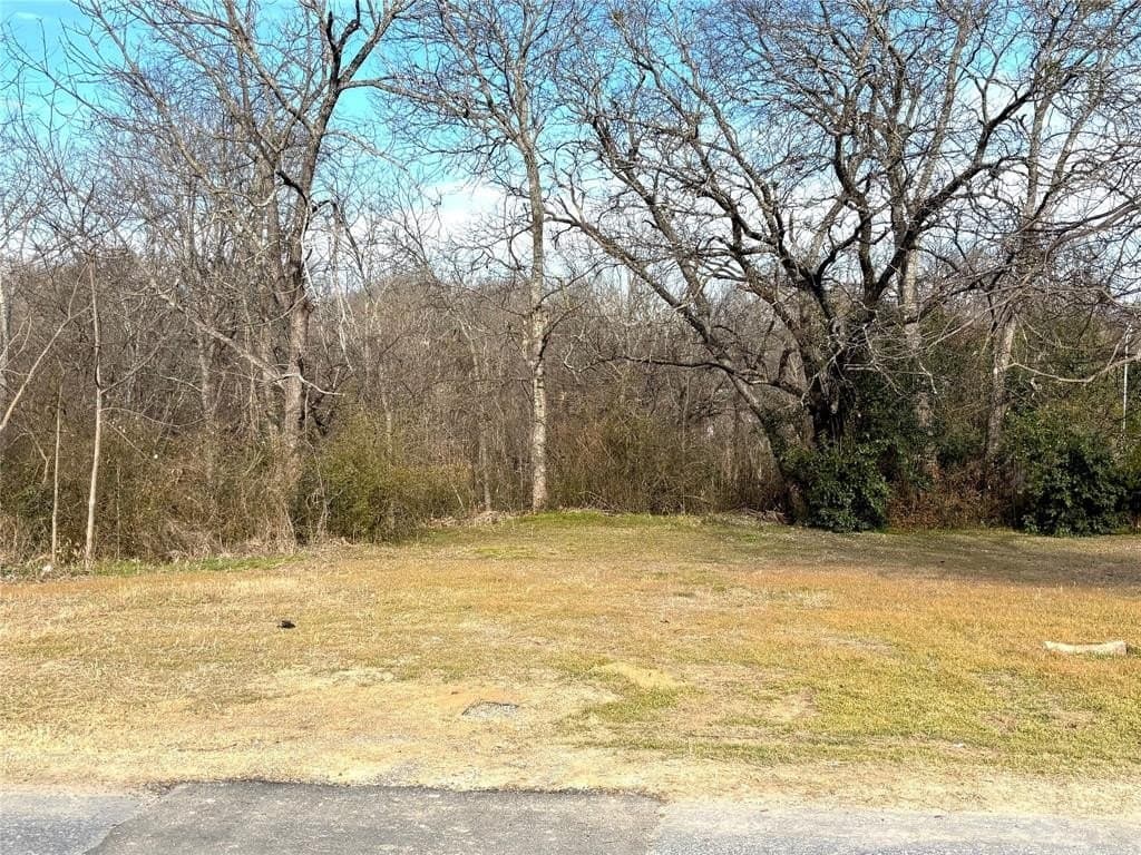 0.65 acres in Ellis County - photo 4