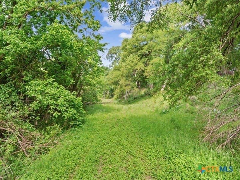 159.63 acres in Bell County - photo 38