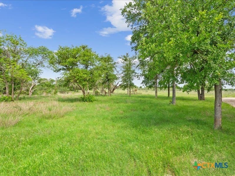 159.63 acres in Bell County - photo 39