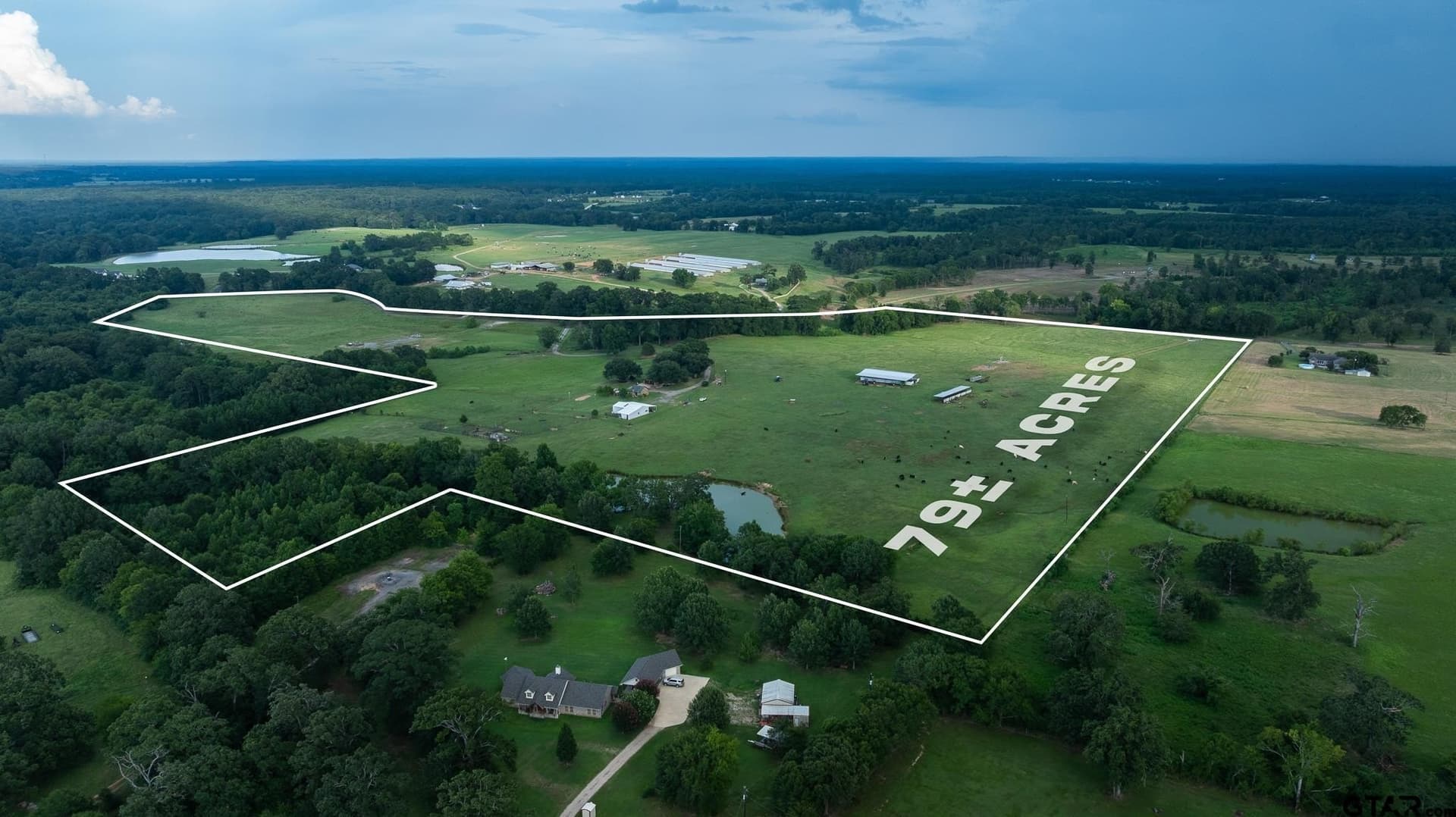 79 acres in Panola County - photo 9