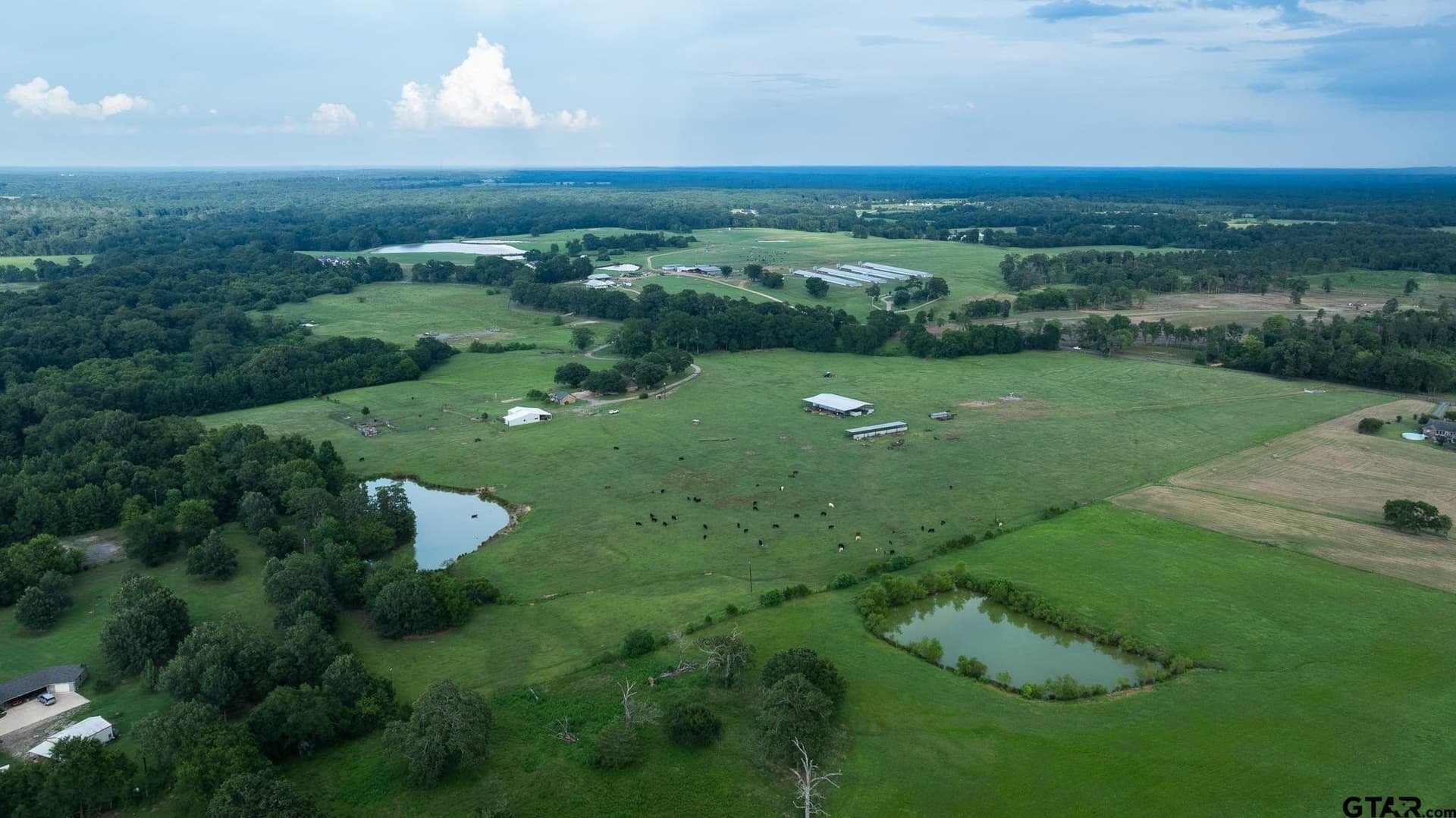 79 acres in Panola County - photo 11