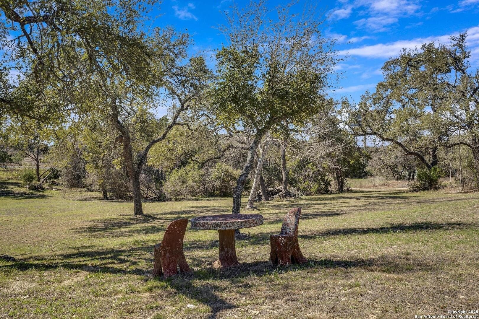 16.68 acres in Comal County - photo 36