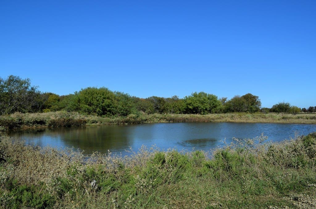 15 acres in Van Zandt County - photo 9