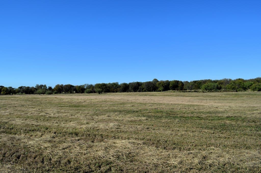 15 acres in Van Zandt County - photo 5