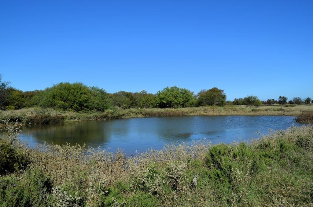 15 acres in Van Zandt County - photo 7
