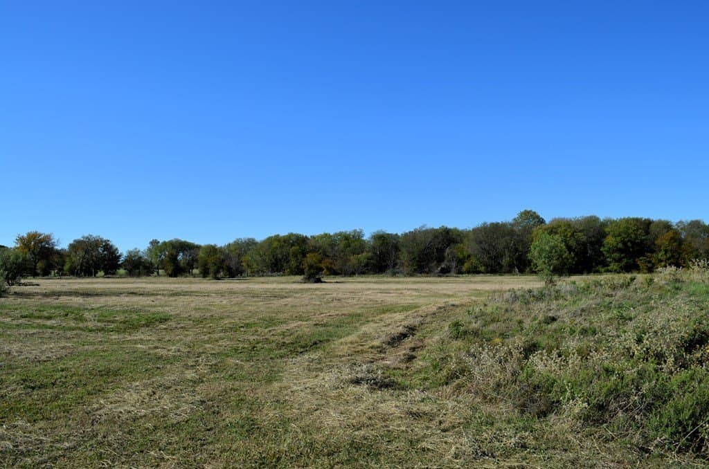 15 acres in Van Zandt County - photo 8