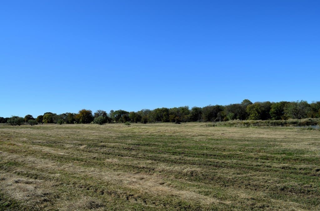 15 acres in Van Zandt County - photo 6
