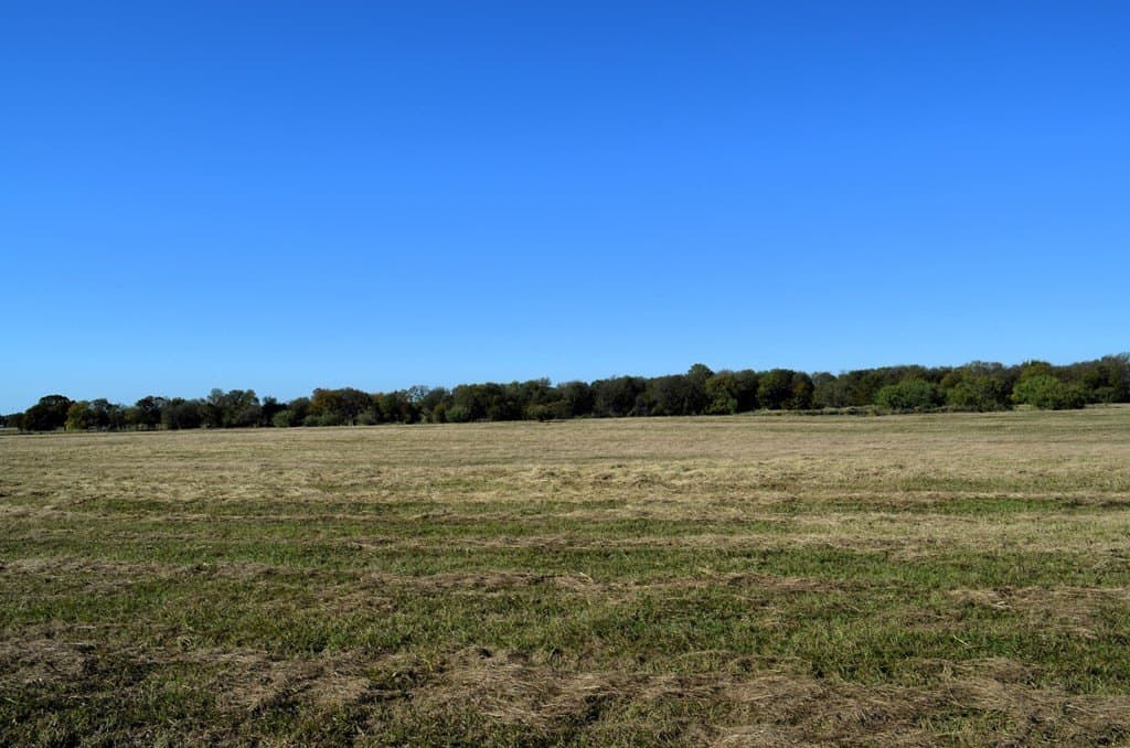 15 acres in Van Zandt County - photo 3