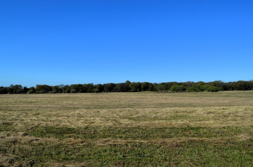15 acres in Van Zandt County - photo 4
