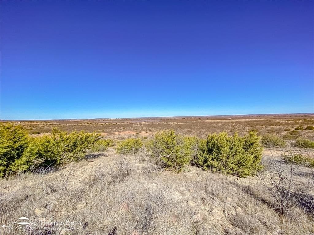 20 acres in Taylor County - photo 5