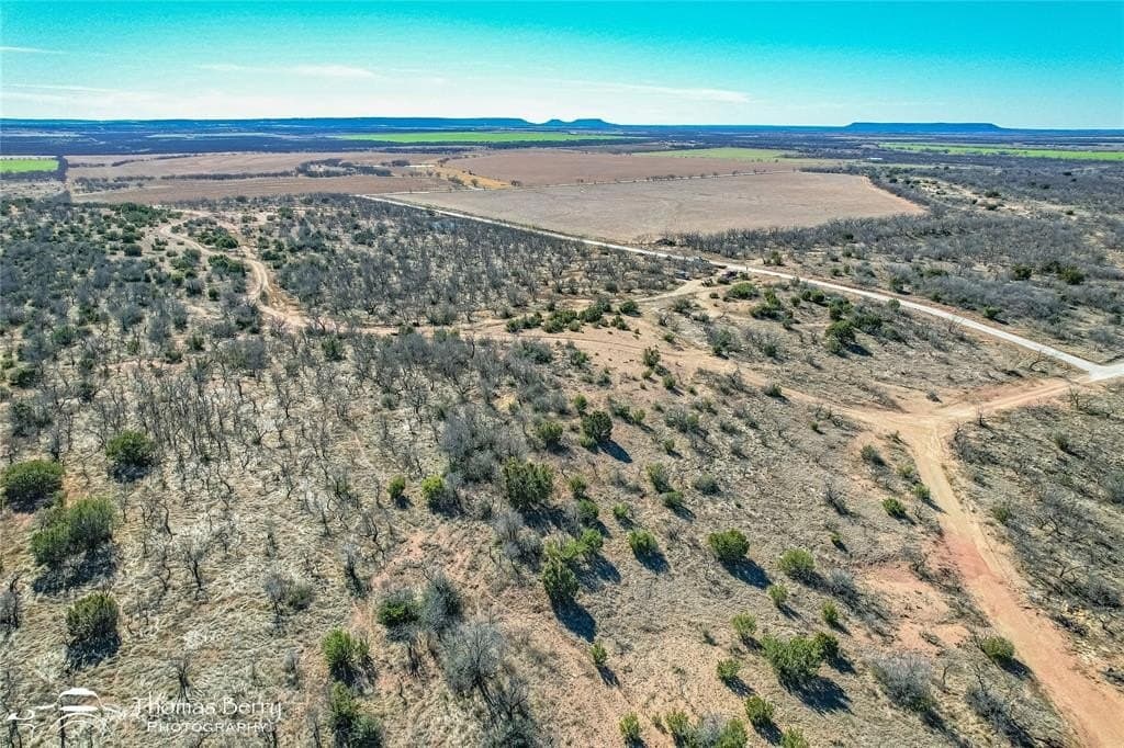 20 acres in Taylor County - photo 12
