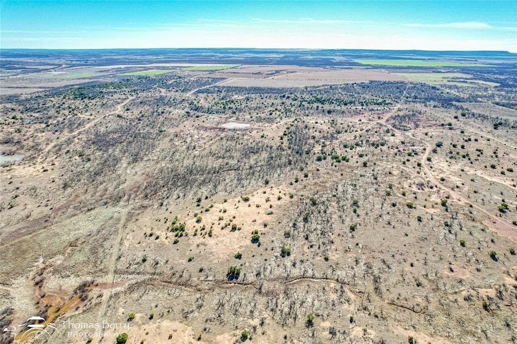 20 acres in Taylor County - photo 8