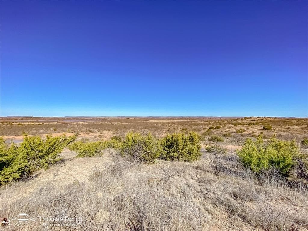 20 acres in Taylor County - photo 4