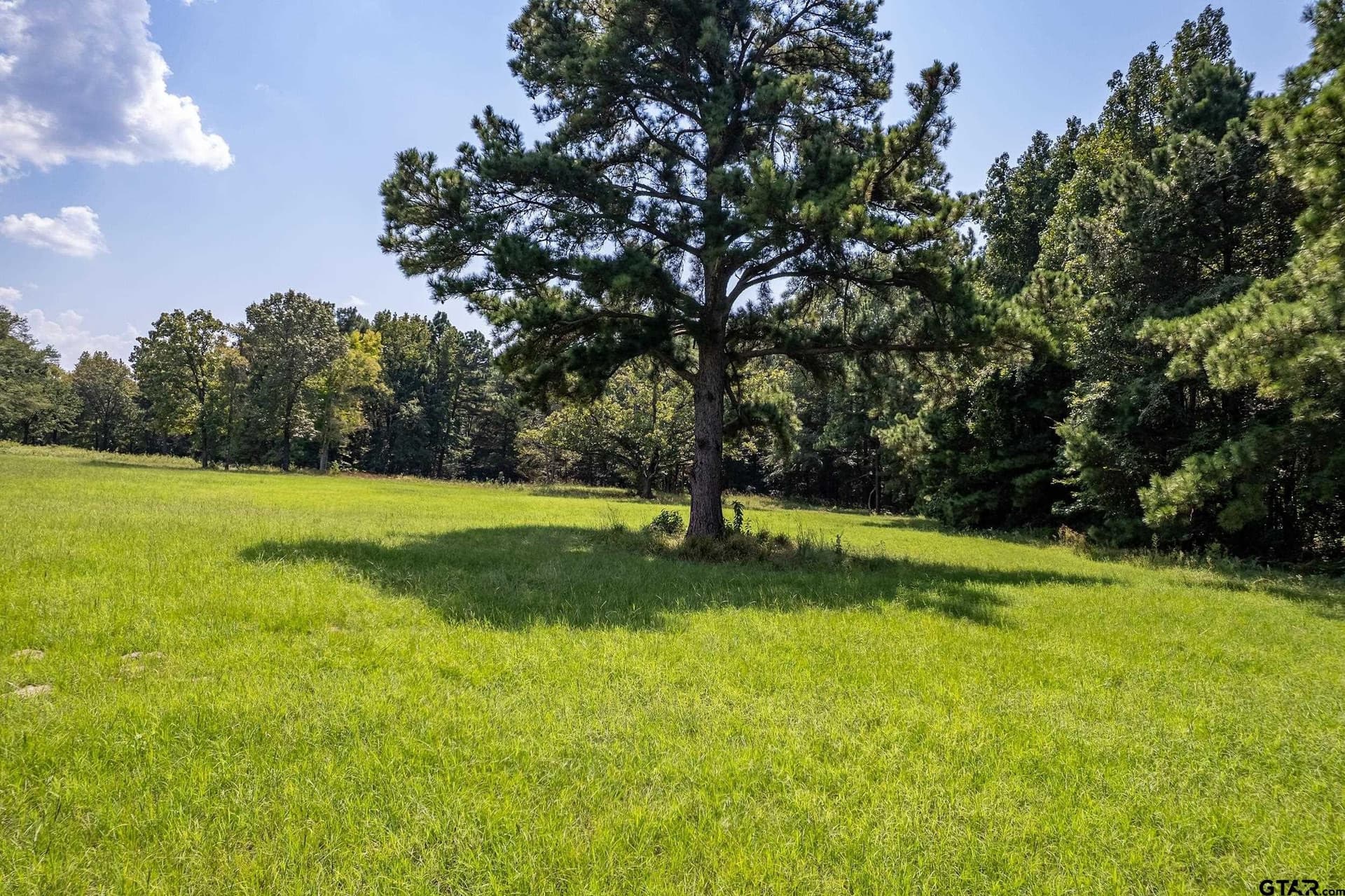 14.83 acres in Cherokee County - photo 17