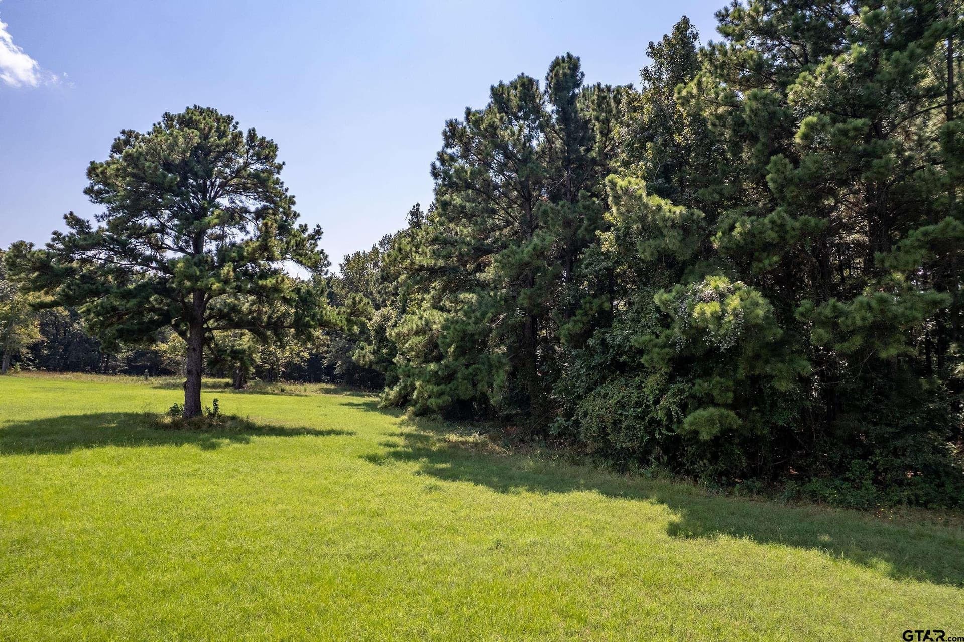 14.83 acres in Cherokee County - photo 29