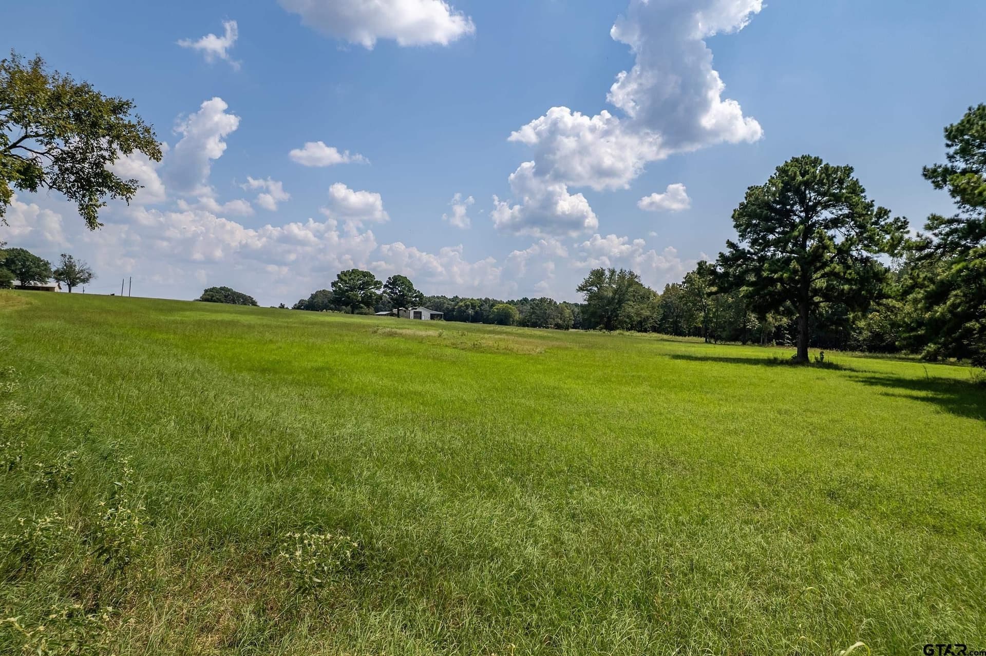 14.83 acres in Cherokee County - photo 6
