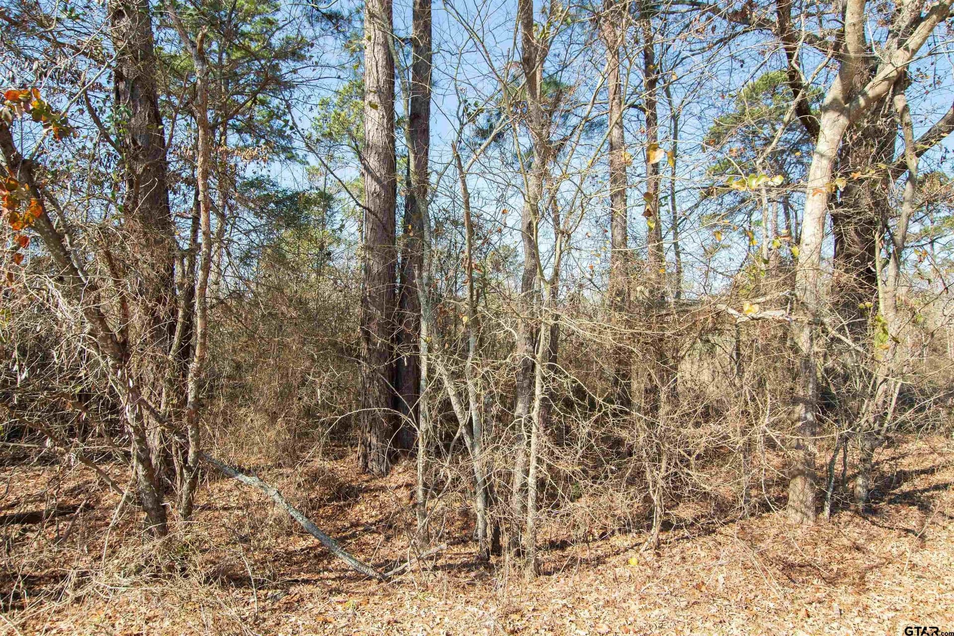 1.09 acres in Van Zandt County - photo 4