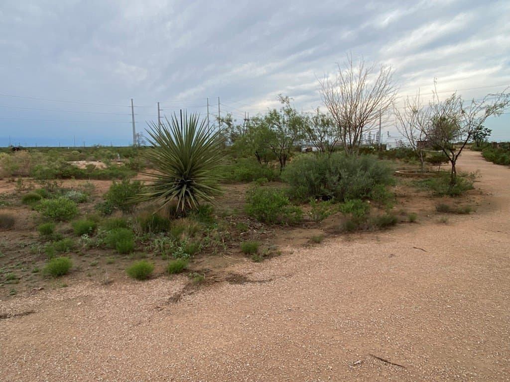 28 acres in Midland County - photo 6