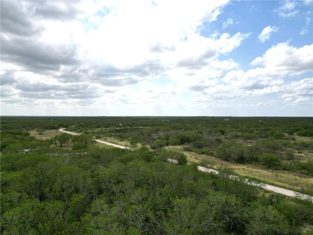 13.2 acres in Duval County - photo 5