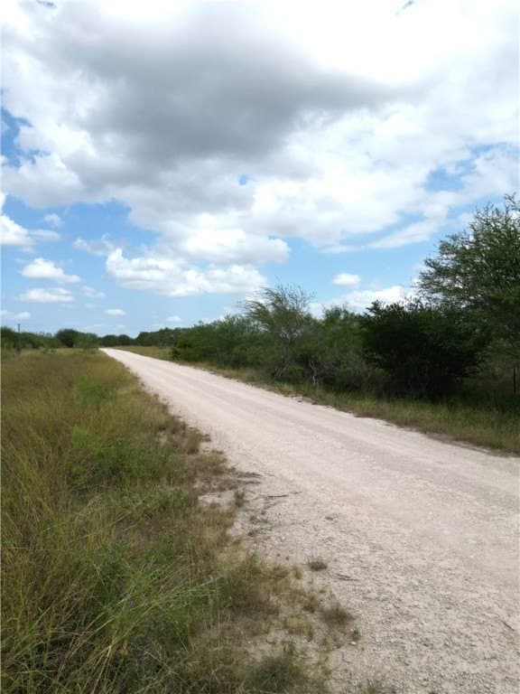 13.2 acres in Duval County - photo 6