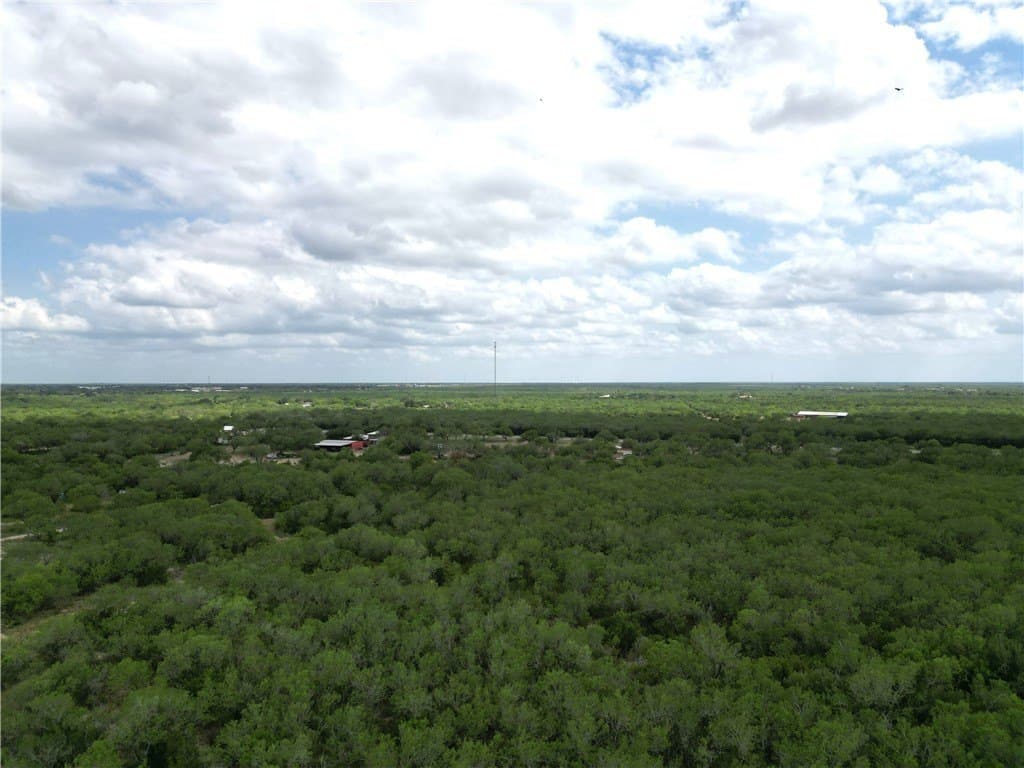 13.2 acres in Duval County - photo 2