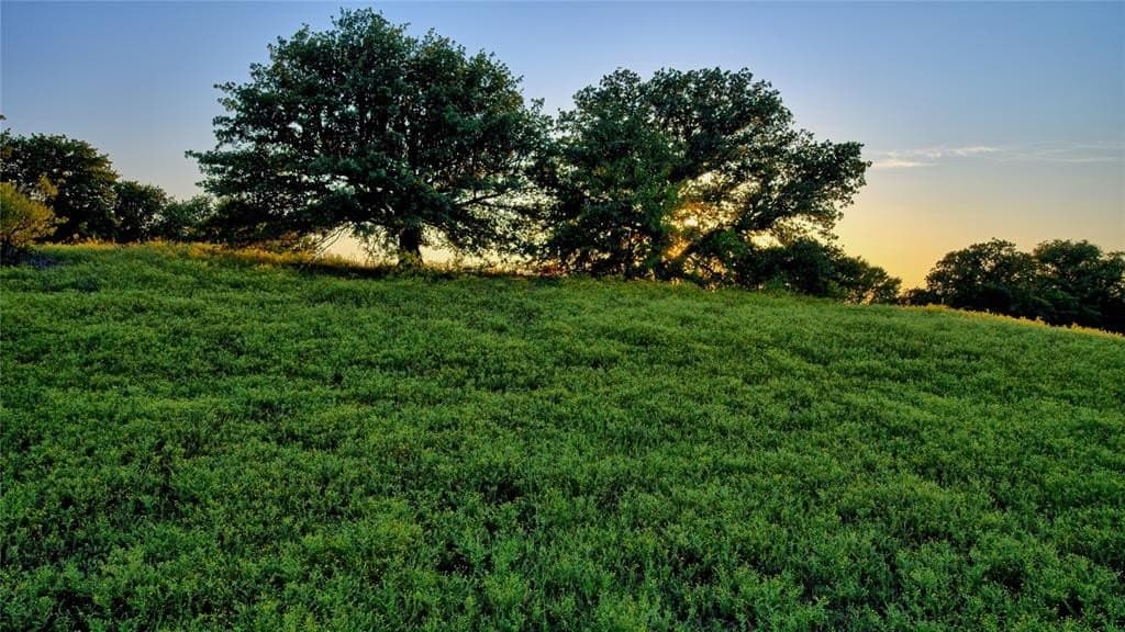 148.25 acres in Montague County - photo 4