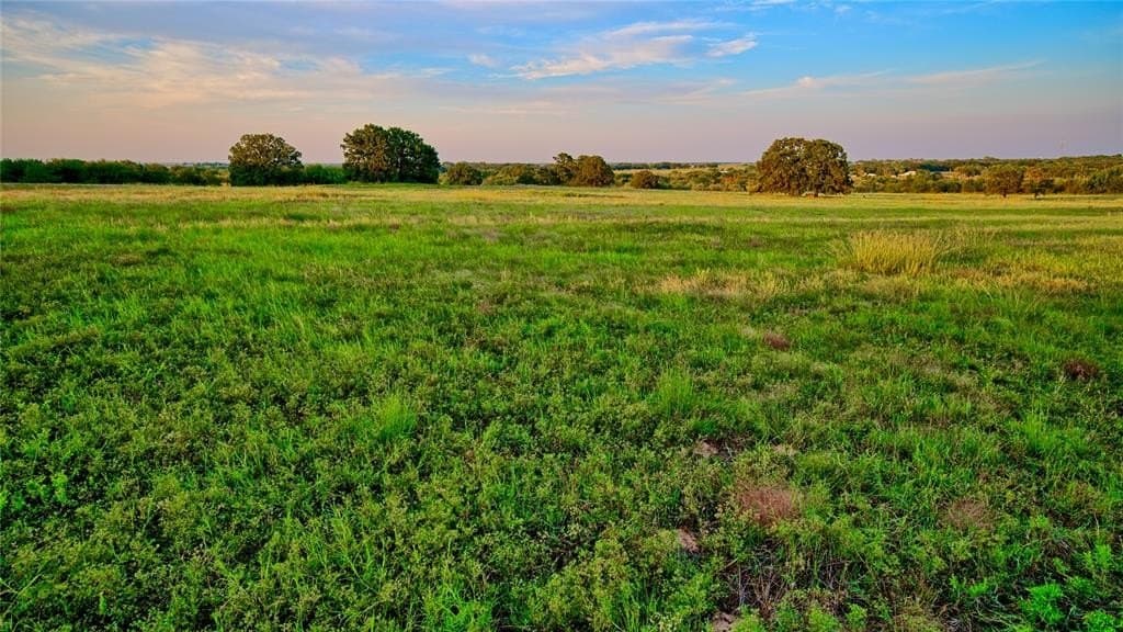 148.25 acres in Montague County - photo 11