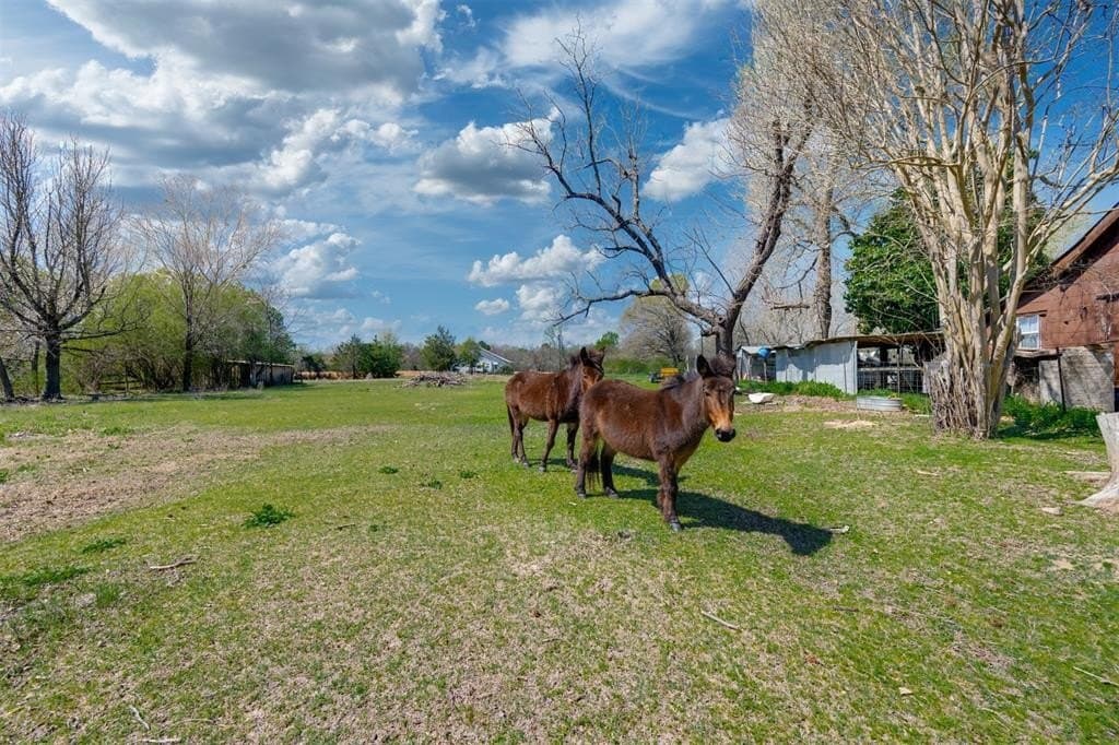 49.39 acres in Red River County - photo 15