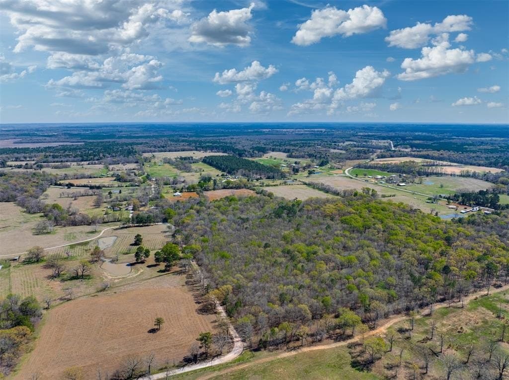 49.39 acres in Red River County - photo 6