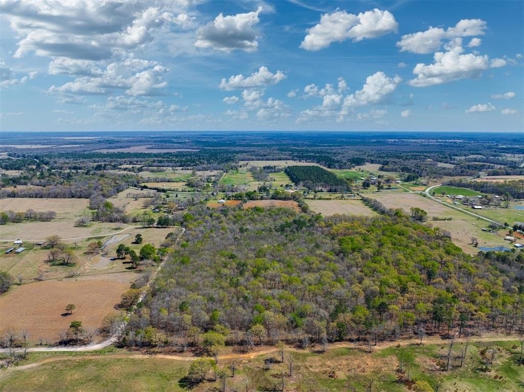 49.39 acres in Red River County - photo 8
