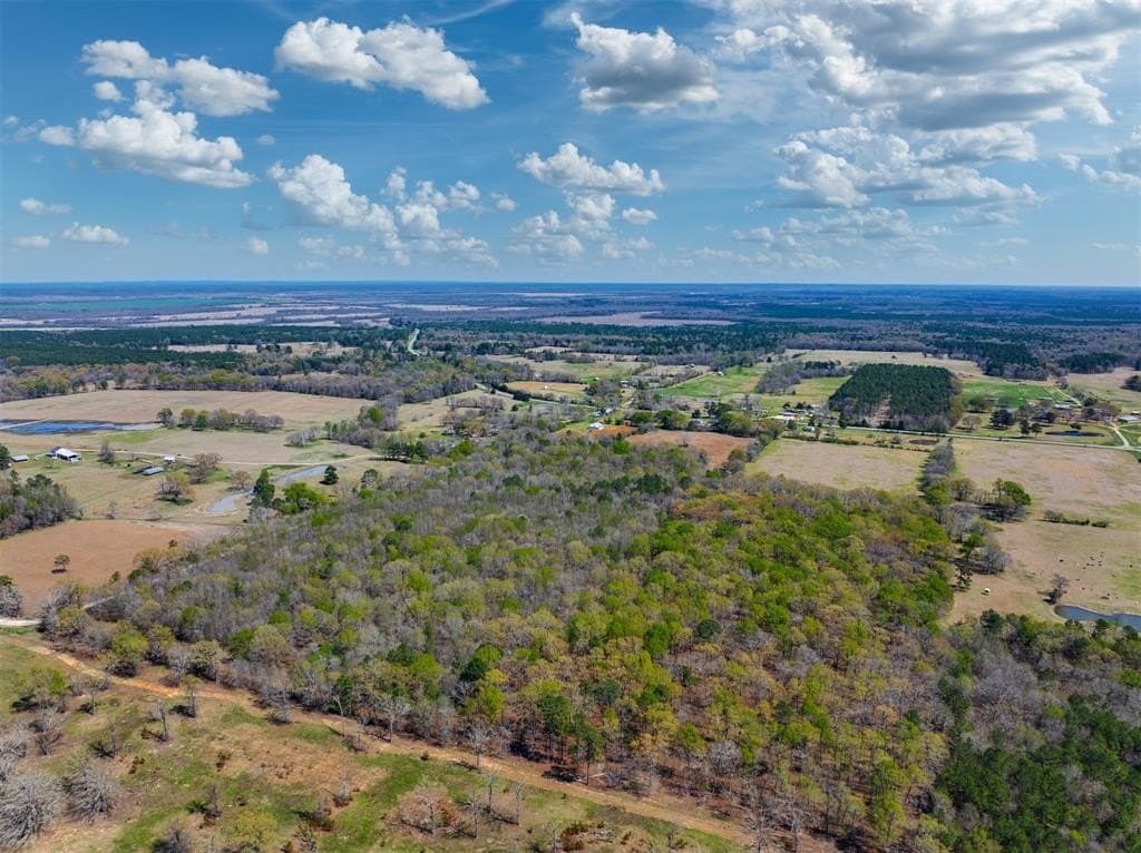 49.39 acres in Red River County - photo 9