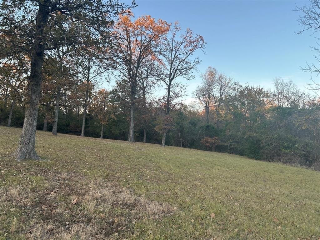 1.48 acres in Henderson County - photo 7