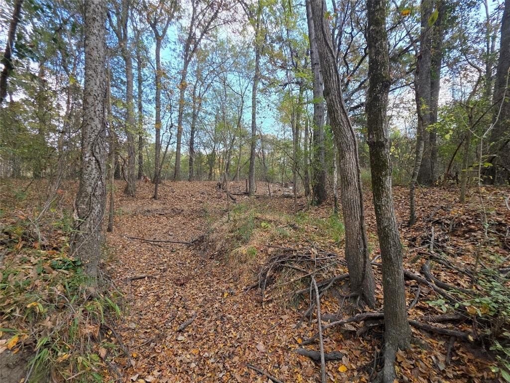 14.78 acres in Hunt County - photo 8