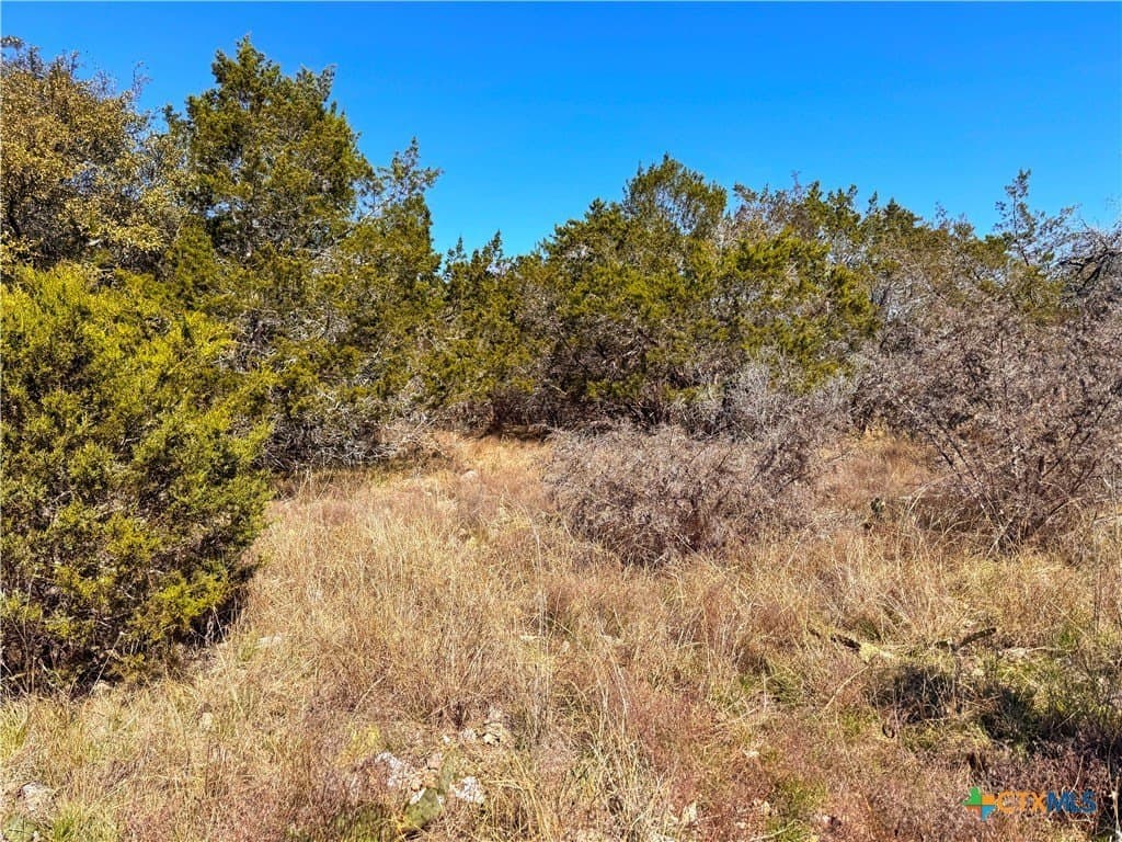1.31 acres in Comal County - photo 4