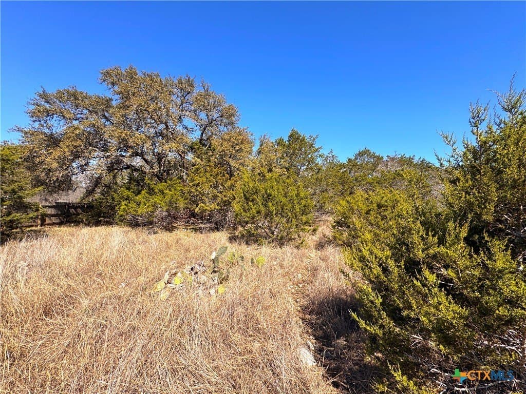 1.31 acres in Comal County - photo 10