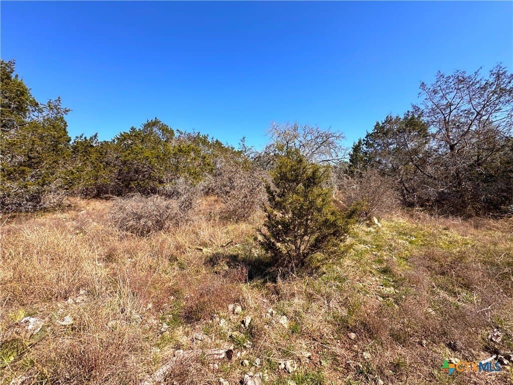 1.31 acres in Comal County - photo 3